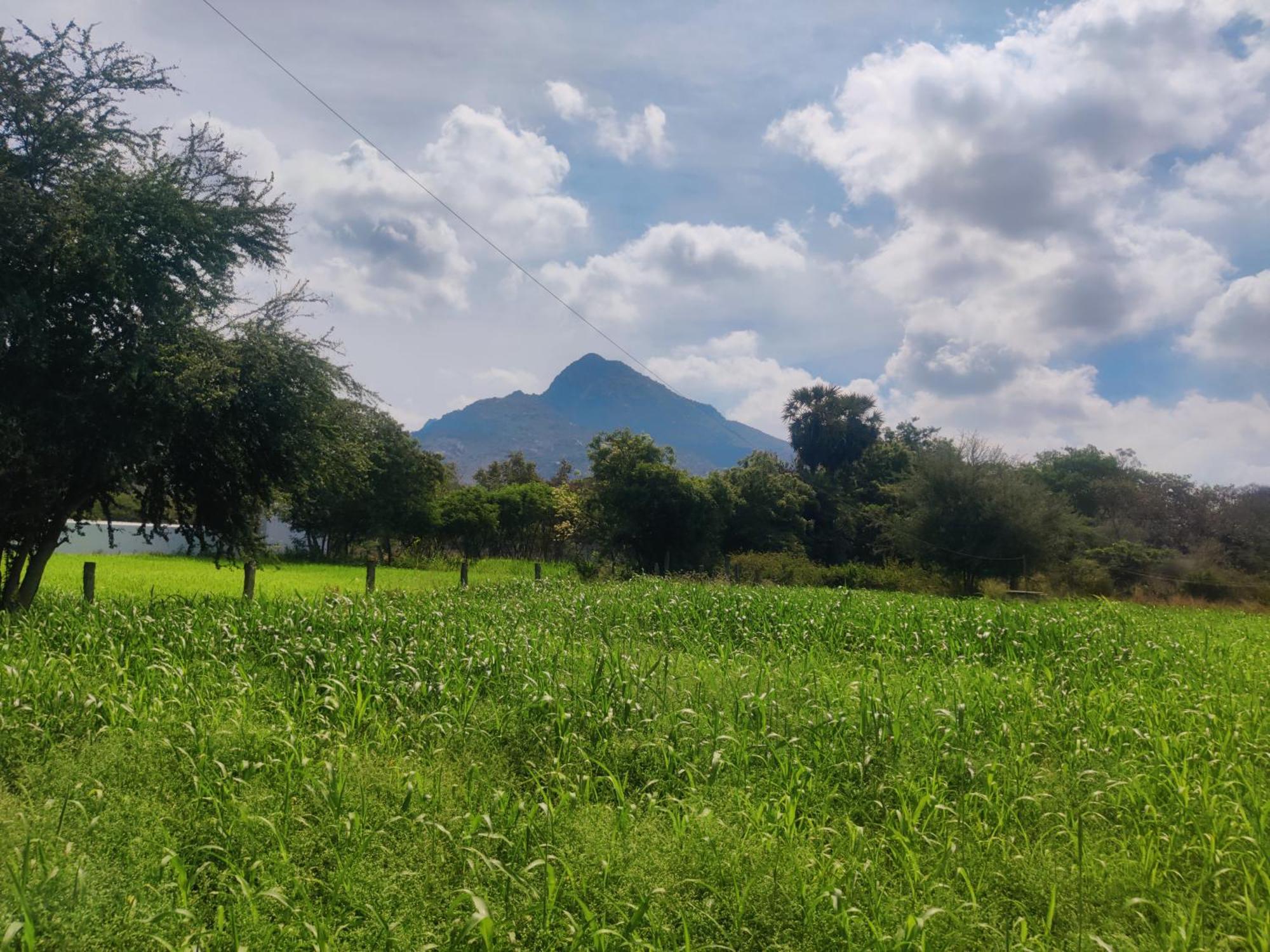 Arunachala Houses Tiruvannāmalai Buitenkant foto